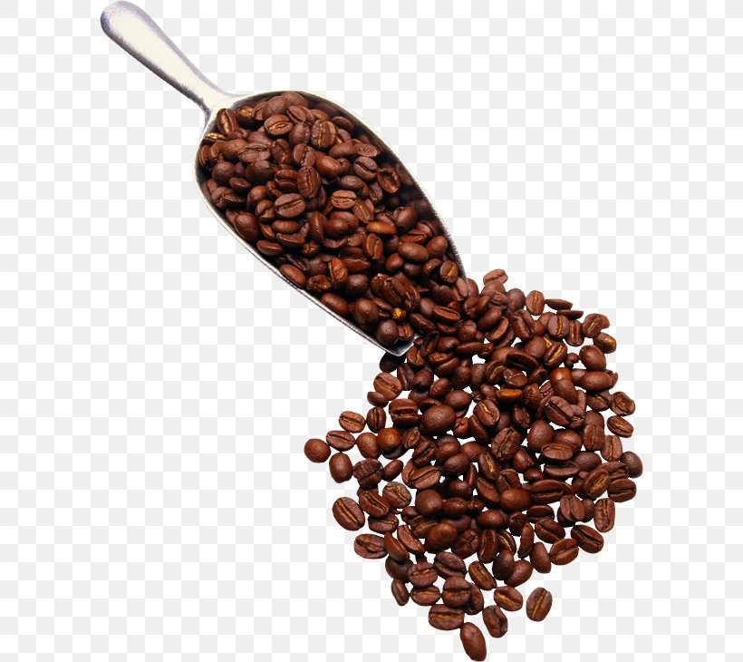 Turkish Coffee Espresso Cappuccino Latte, PNG, 600x730px, Coffee, Azuki Bean, Bean, Cafe, Caffeine Download Free