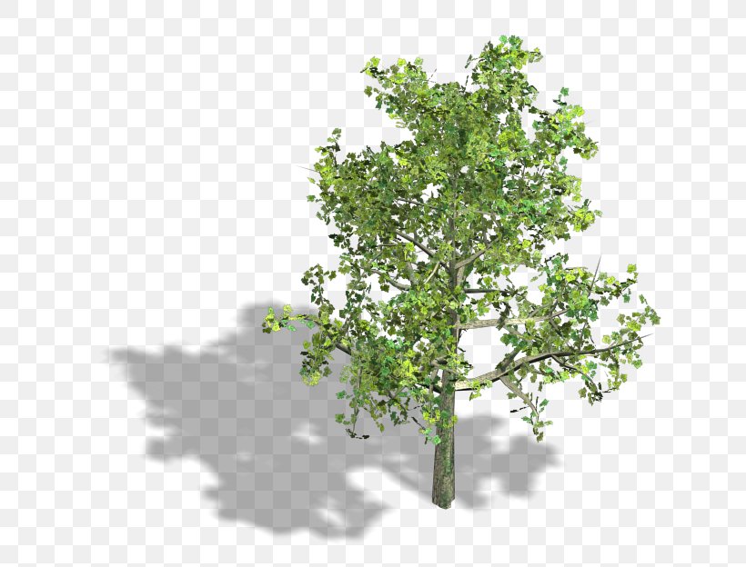 Branch Isometric Projection Axonometric Projection Tree Isometric Graphics In Video Games And Pixel Art, PNG, 640x624px, 2d Computer Graphics, Branch, Axonometric Projection, Banyan, Flowering Plant Download Free