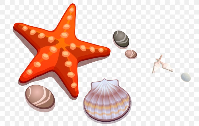 Cartoon Drawing Seashell Starfish, PNG, 1100x700px, Cartoon, Animation, Drawing, Invertebrate, Orange Download Free