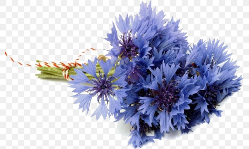 Flower Bouquet Cornflower Cut Flowers Bride, PNG, 787x490px, Flower Bouquet, Artificial Flower, Aster, Blue, Blue Flower Download Free