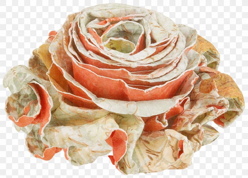 Garden Roses Flower Paper, PNG, 1407x1012px, Garden Roses, Animation, Blog, Cut Flowers, Flower Download Free