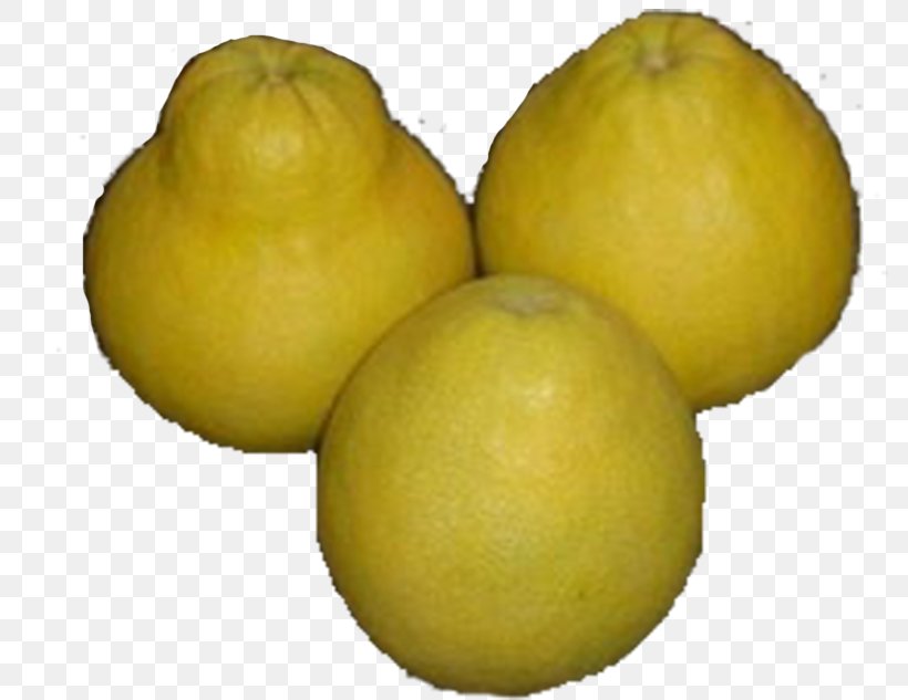 Sweet Lemon Grapefruit Pomelo Citrus Junos, PNG, 800x633px, Lemon, Auglis, Citric Acid, Citron, Citrus Download Free