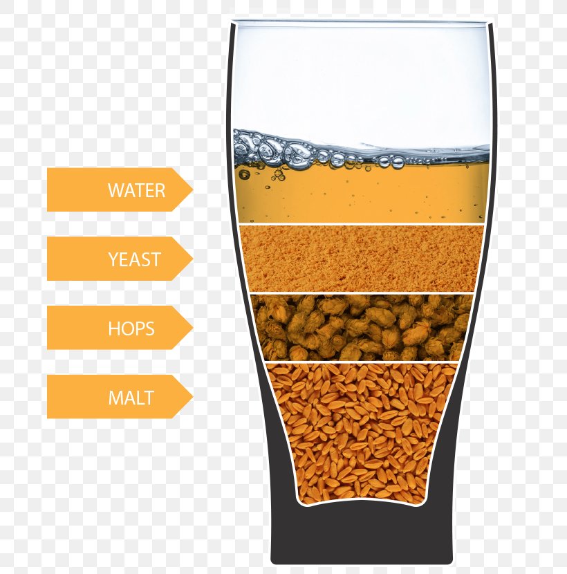 Beer Glasses Hops Beer Brewing Grains & Malts, PNG, 684x830px, Beer, Barley, Beer Brewing Grains Malts, Beer Glass, Beer Glasses Download Free