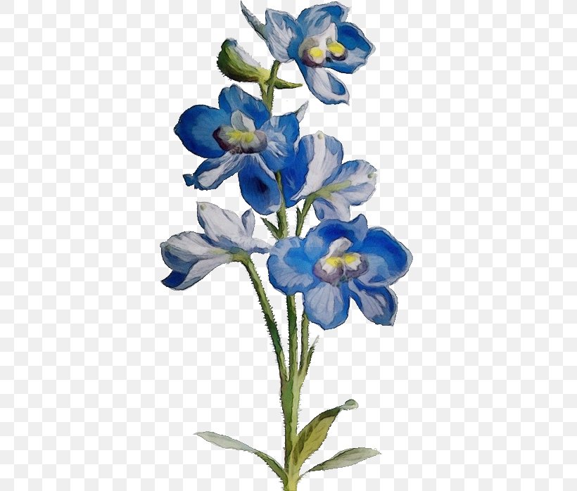 Flower Plant Blue Petal Iris, PNG, 400x698px, Watercolor, Blue, Bluebonnet, Cut Flowers, Delphinium Download Free