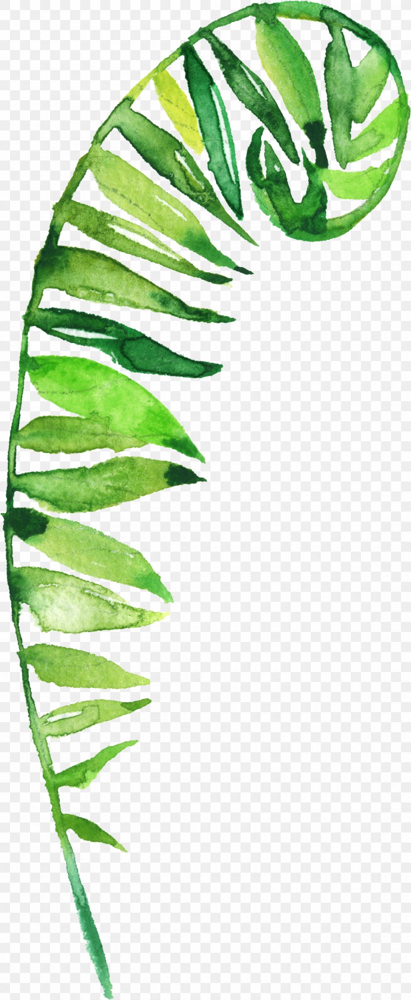 Leaf Flower Clip Art, PNG, 1100x2676px, Leaf, Designer, Drawing, Flora, Floral Design Download Free