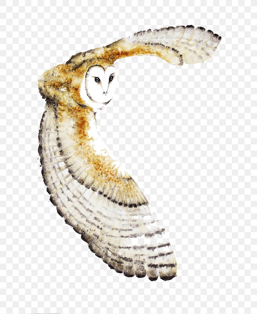 Tawny Owl Hummingbird Flight, PNG, 690x1001px, Owl, Art, Barn Owl, Beak, Bird Download Free