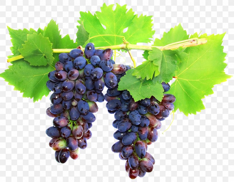 White Wine Cabernet Sauvignon Grape Red Wine, PNG, 1006x784px, Wine, Berry, Bilberry, Blueberry, Cabernet Sauvignon Download Free
