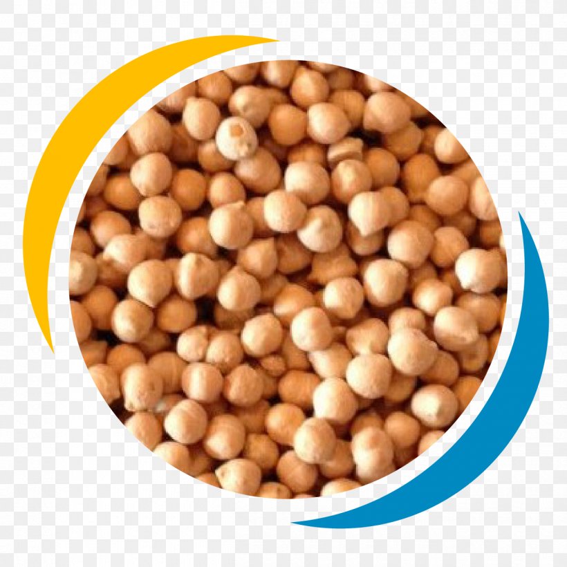 Hazelnut Commodity Superfood Ingredient Bean, PNG, 1250x1250px, Hazelnut, Bean, Commodity, Food, Ingredient Download Free