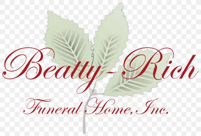 Beauty Royal, PNG, 1273x867px, Facial, Beauty Parlour, Brand, Collagen, Cosmetics Download Free