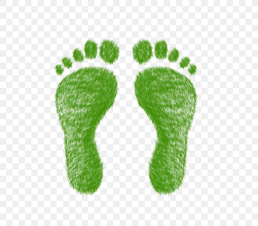 Carbon Footprint Ecological Footprint Ecology, PNG, 720x720px, Carbon Footprint, Ecological Footprint, Ecology, Foot, Footprint Download Free