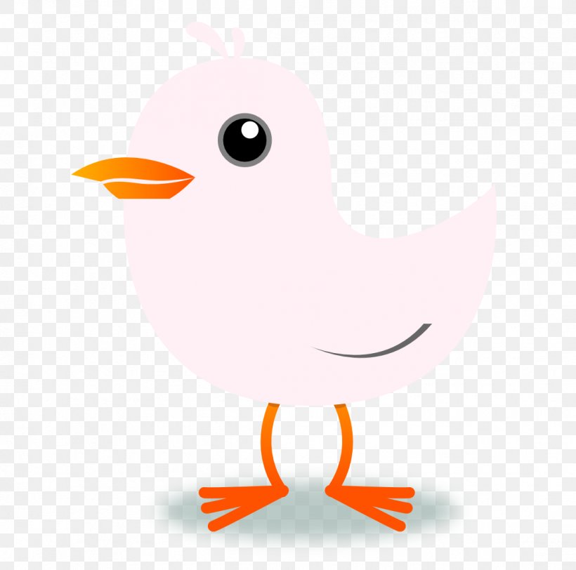 Bird Domestic Canary Clip Art, PNG, 1111x1101px, Bird, Beak, Blog, Chicken, Color Download Free