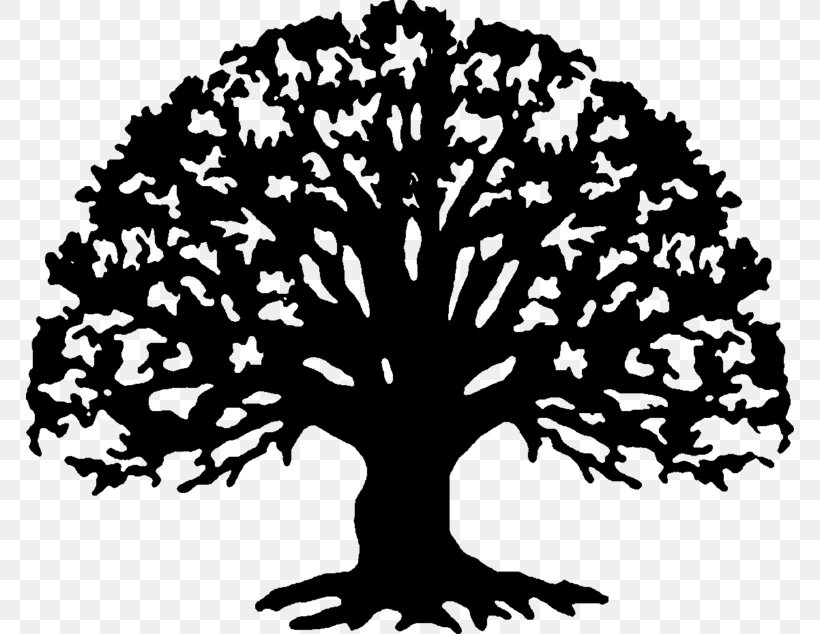 Family Reunion Family Tree Clip Art, PNG, 768x634px, Family Reunion, Art, Black And White, Branch, Document Download Free