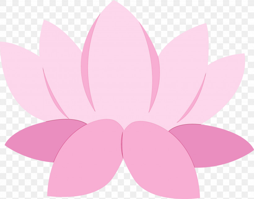 Lotus, PNG, 3000x2358px, Bodhi Lotus, Aquatic Plant, Flower, Lotus, Lotus Family Download Free