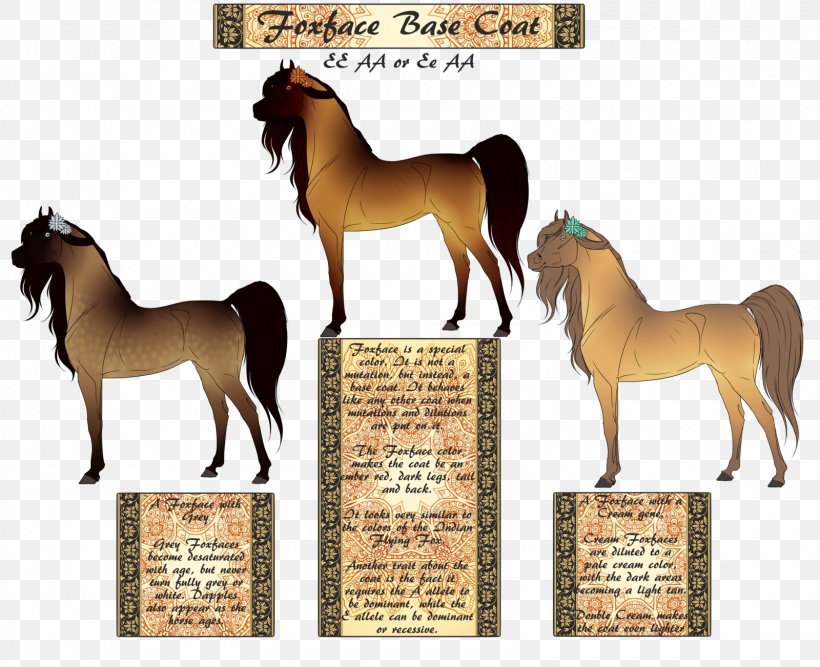 Mustang Foal Foxface Pony Mare, PNG, 1600x1302px, Mustang, Art, Artist, Deviantart, Foal Download Free