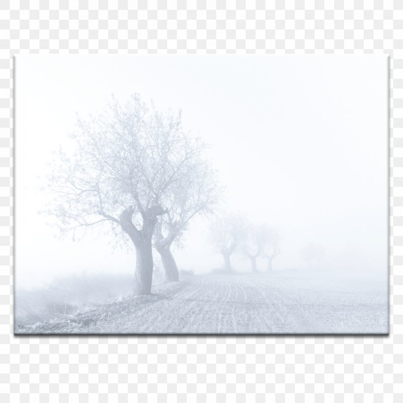 Stock Photography Desktop Wallpaper Computer, PNG, 900x900px, Stock Photography, Black And White, Blizzard, Blizzard Entertainment, Branch Download Free