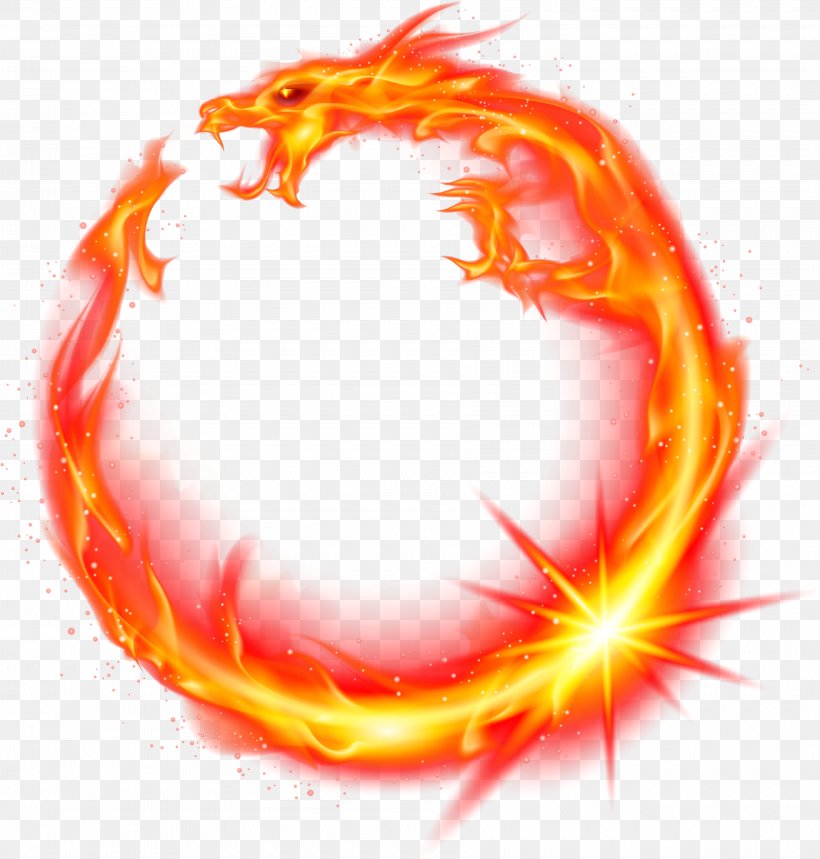 Dragon Fire, PNG, 3600x3775px, Flame, Dragon, Fire, Orange Download Free