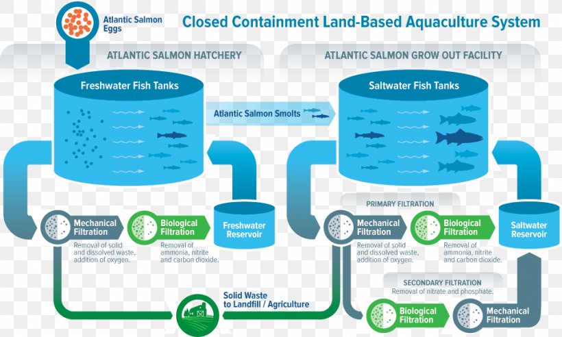 Water Recirculating Aquaculture System Sustainability Farm, PNG, 960x577px, Water, Agriculture, Aquaculture, Brand, Farm Download Free