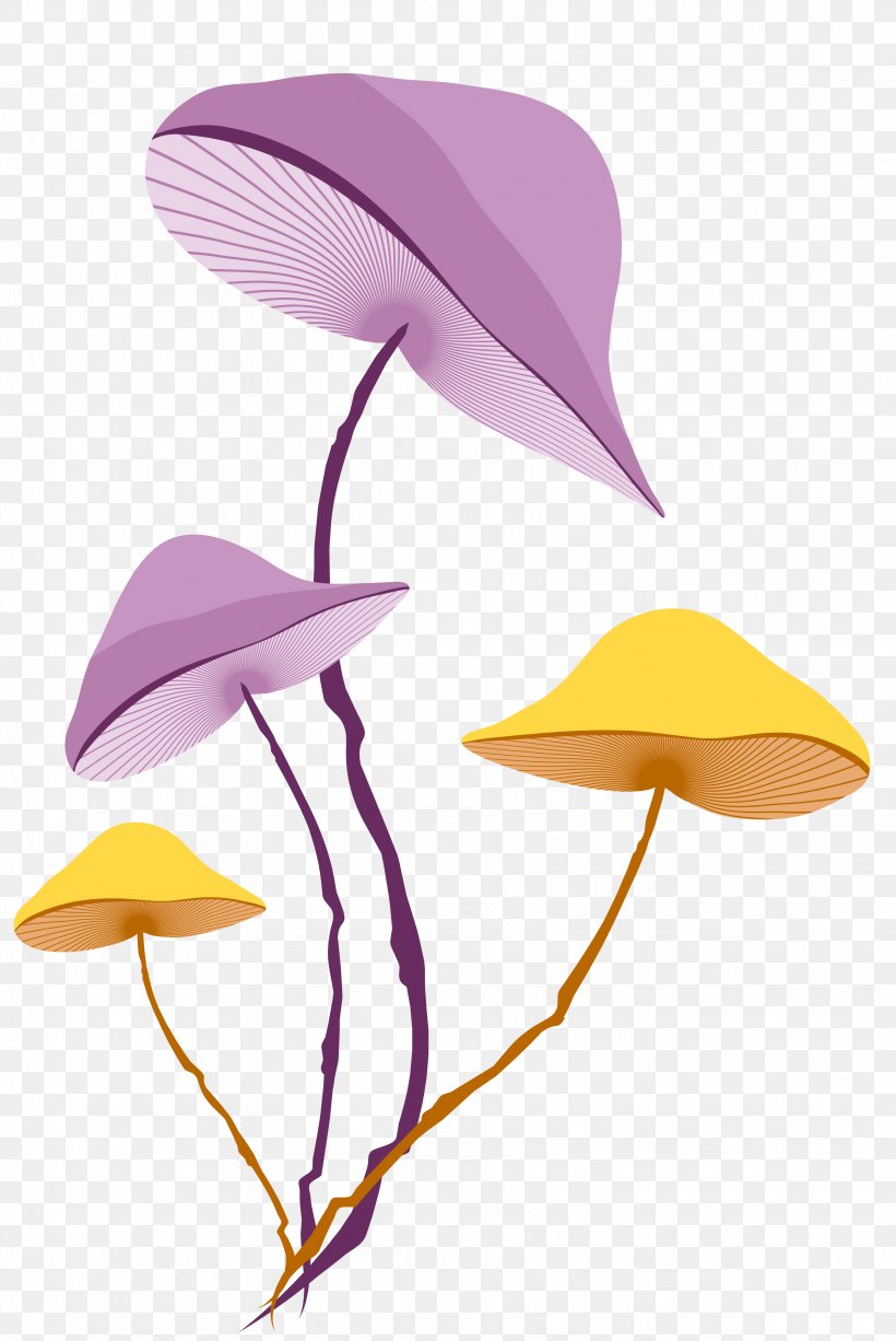 Yellow Stock Photography Clip Art, PNG, 3274x4899px, Yellow, Flower, Headgear, Lilac, Mushroom Download Free