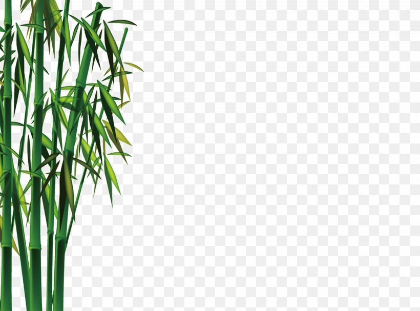 Bamboo Bamboe Gratis Euclidean Vector, PNG, 3508x2598px, Bamboo, Bamboe, Bambusa Oldhamii, Grass, Grass Family Download Free