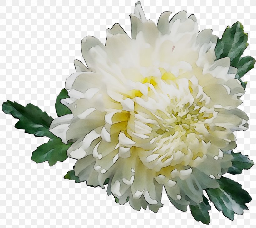 Chrysanthemum Cut Flowers Annual Plant Plants, PNG, 1204x1071px, Chrysanthemum, Annual Plant, Artificial Flower, Aster, China Aster Download Free