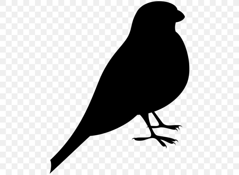 Clip Art Openclipart Illustration Bird Free Content, PNG, 498x600px, Bird, Beak, Black, Blackbird, Crow Download Free
