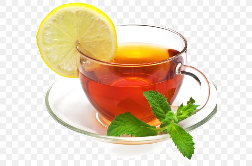 Green Tea Fizzy Drinks Ginger Tea Lemon Juice, PNG, 592x540px, Tea, Aloysia Citrodora, Assam Tea, Black Tea, Chinese Herb Tea Download Free