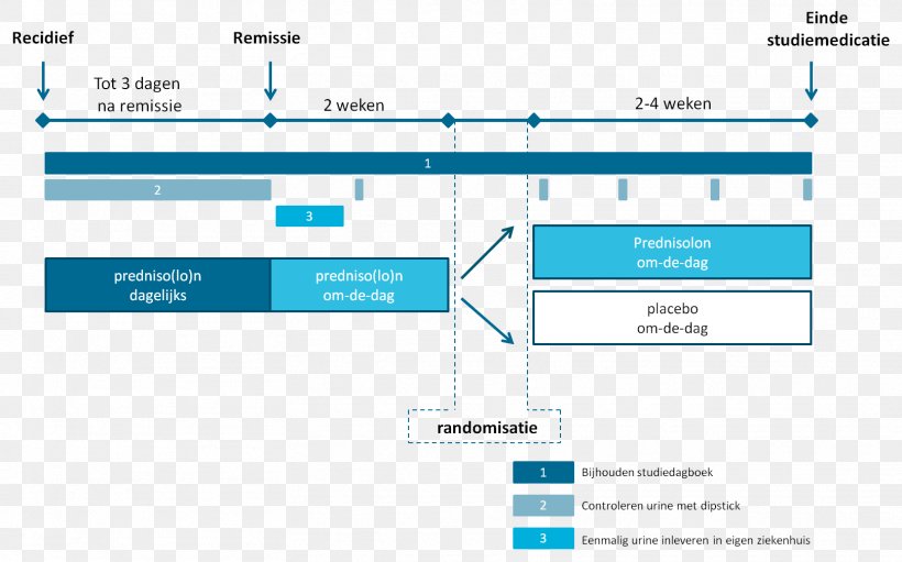 Restern Radboud University Medical Center Research Information Nephrotic Syndrome, PNG, 1616x1009px, Research, Area, Brand, Diagram, Document Download Free