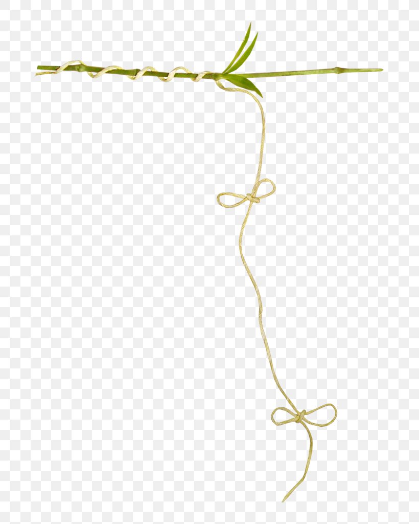 Vine Plant Stem Lossless Compression, PNG, 721x1024px, Vine, Branch, Data, Data Compression, Flora Download Free