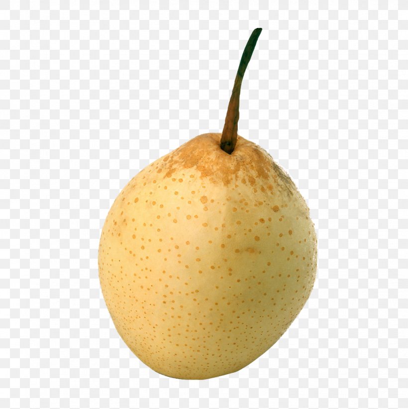 Asian Pear Pyrus Xd7 Bretschneideri Pyrus Nivalis Laiyang, PNG, 1021x1024px, Asian Pear, Auglis, Cartoon, Food, Fruit Download Free