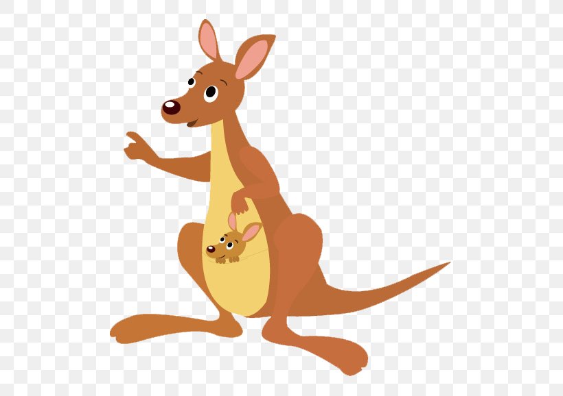 Koala Boxing Kangaroo Child Illustration, PNG, 555x578px, Koala, Animal Figure, Animation, Boxing Kangaroo, Cartoon Download Free