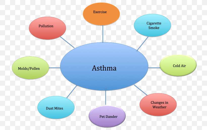 Asthma Symptom Therapy Inflammation Patton Pharmacy, PNG, 780x516px, Asthma, Brand, Communication, Diagram, Healing Download Free