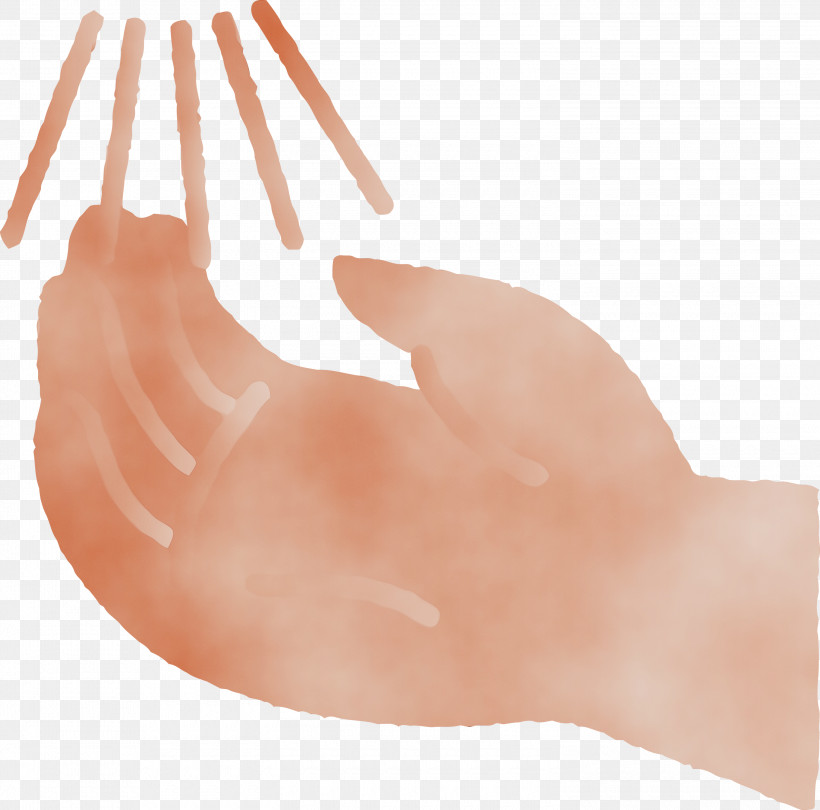 Hand Nose Finger Thumb Peach, PNG, 3000x2965px, Washing Hand, Finger, Hand, Metal, Nail Download Free