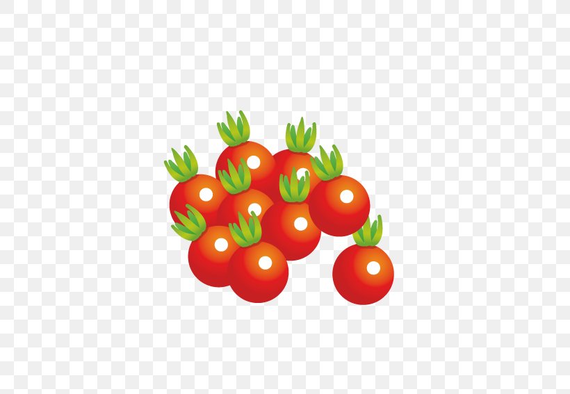 Juice Cherry Tomato Vegetarian Cuisine Vegetable Fruit, PNG, 567x567px, Juice, Cherry, Cherry Tomato, Eggplant, Food Download Free