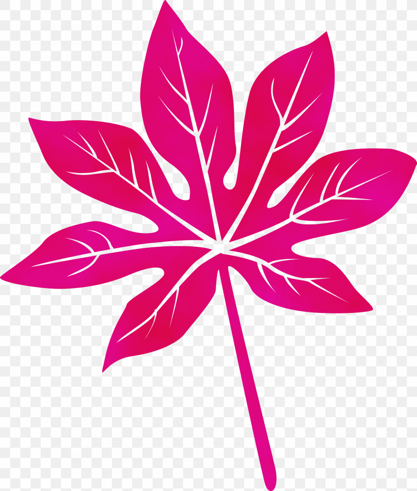 Leaf Flower Symmetry Petal Line, PNG, 2548x3000px, Leaf, Biology, Flower, Geometry, Line Download Free