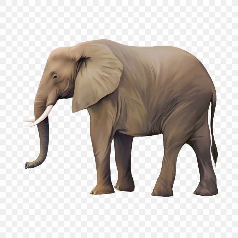 Animal Illustrator Illustration, PNG, 4724x4724px, Animal, African Elephant, Elephant, Elephants And Mammoths, Fauna Download Free