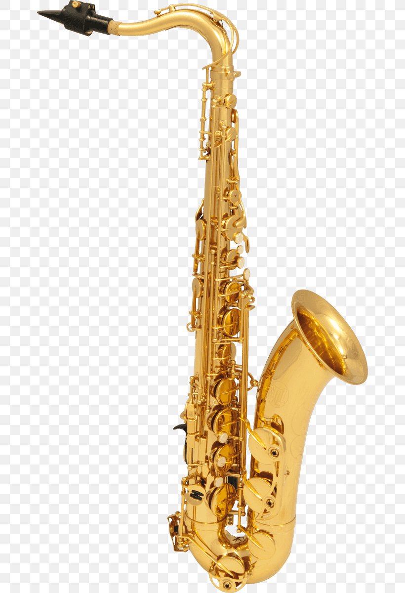 Henri Selmer Paris Tenor Saxophone Reference 54 Alto Saxophone, PNG, 670x1200px, Watercolor, Cartoon, Flower, Frame, Heart Download Free