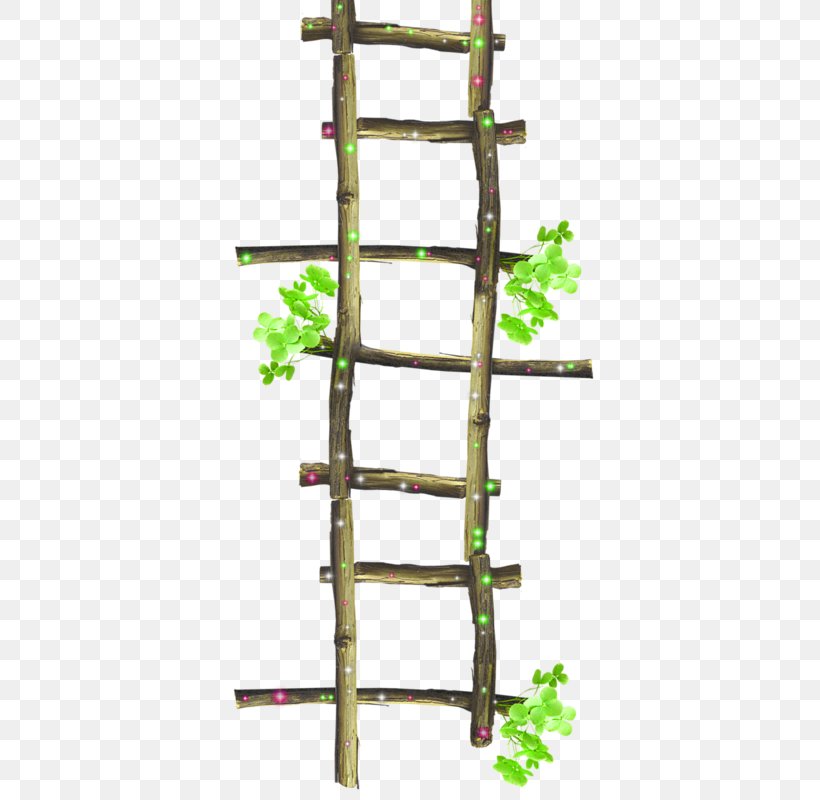 Ladder Stairs Clip Art, PNG, 393x800px, Ladder, Garden, Photoscape, Rope, Stairs Download Free