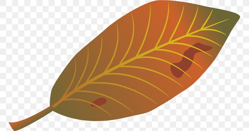Leaf Autumn Clip Art, PNG, 763x431px, Leaf, Autumn, Cloud, Fog, Logo Download Free