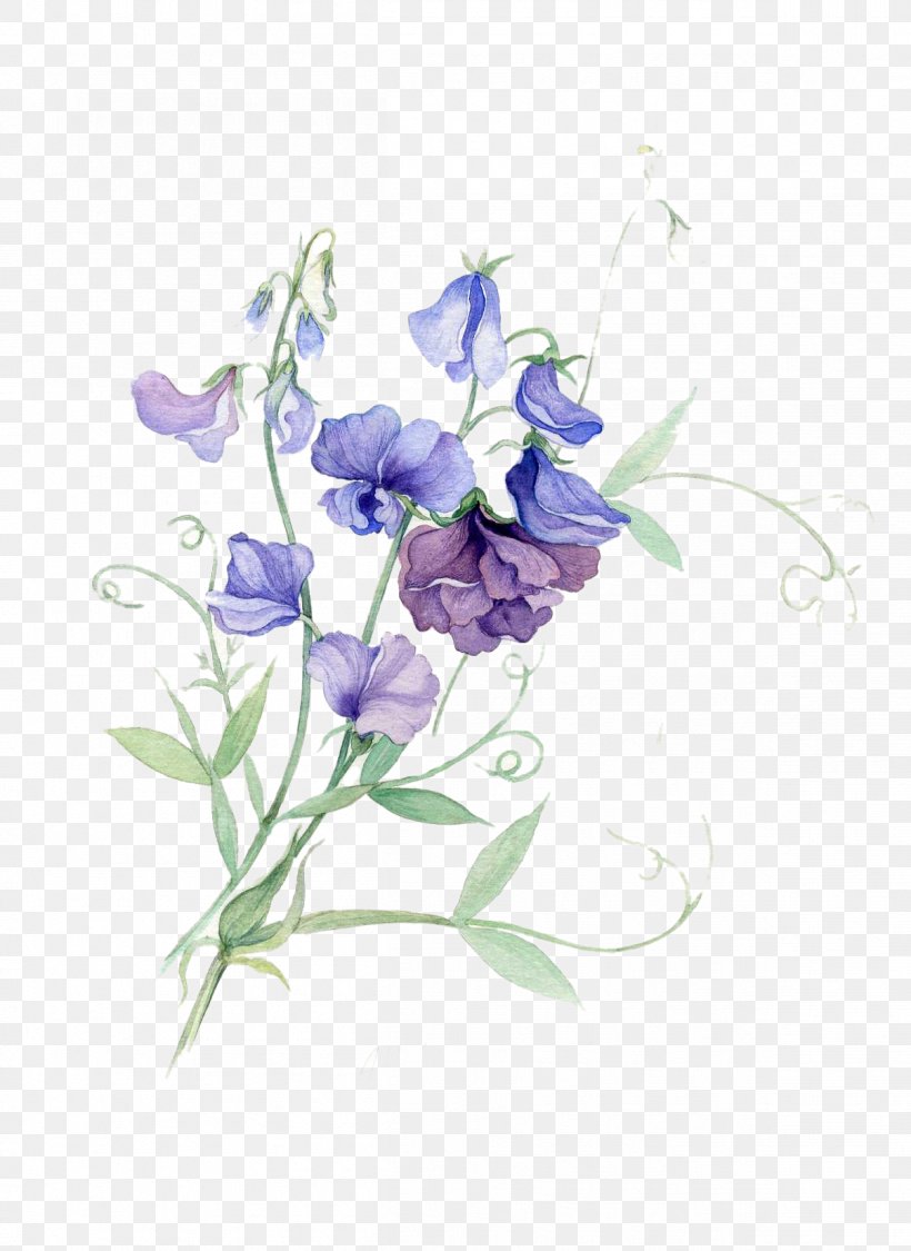 Paper Sweet Pea Watercolor Painting Flower, PNG, 1206x1655px, Paper, Art, Artificial Flower, Branch, Cut Flowers Download Free