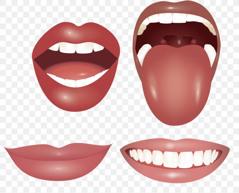 Mouth Tongue Tooth Lip, PNG, 800x661px, Watercolor, Cartoon, Flower, Frame, Heart Download Free