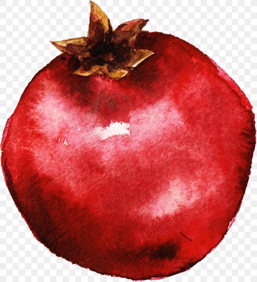 Pomegranate Juice Kiwifruit Watercolor Painting Illustration, PNG, 967x1062px, Pomegranate, Apple, Auglis, Christmas Ornament, Food Download Free