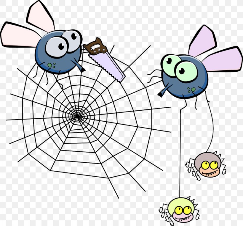 Spider Web Clip Art, PNG, 1024x950px, Spider, Area, Drawing, Invertebrate, Organism Download Free