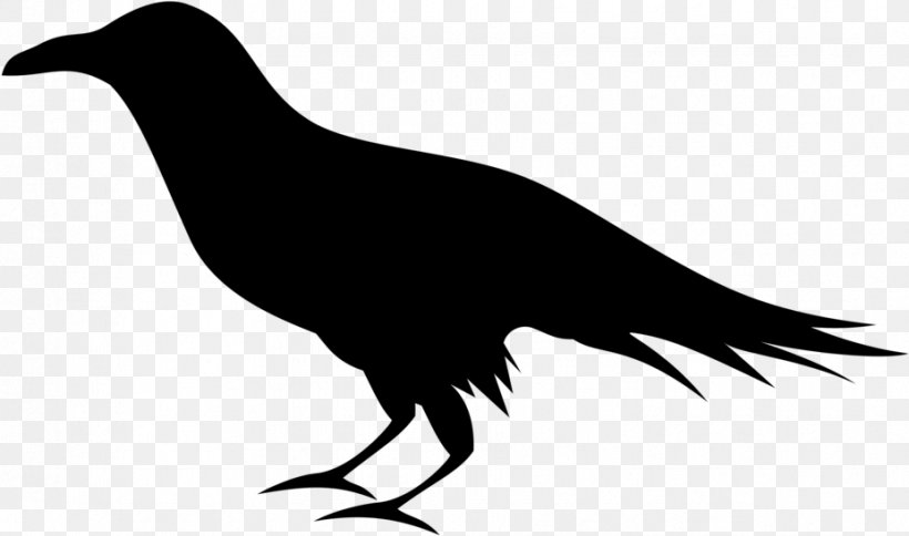 Bird Silhouette, PNG, 927x548px, Common Raven, Beak, Bird, Crow, Crowlike Bird Download Free