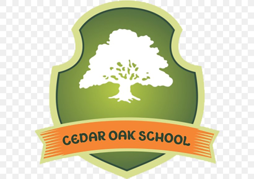 Cedar Oak School Gingins Child Business Learning, PNG, 600x577px, Child, Brand, Business, Cricket, Food Download Free