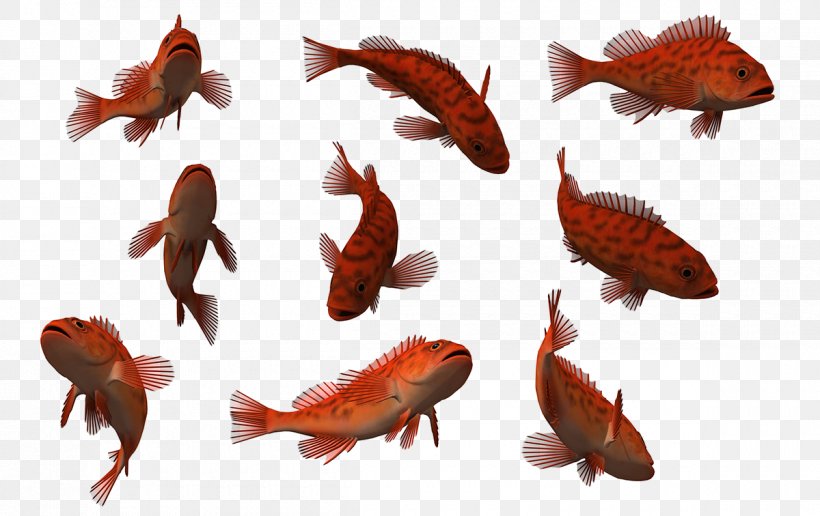 Clip Art Saltwater Fish Stock Photography, PNG, 1200x756px, 17 Tropical Fish, Fish, Animal, Animal Figure, Aquatic Animal Download Free