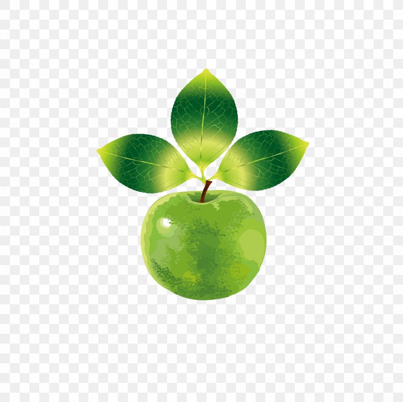 Fruit Apple Clip Art, PNG, 1181x1181px, Fruit, Apple, Drawing, Green, Leaf Download Free