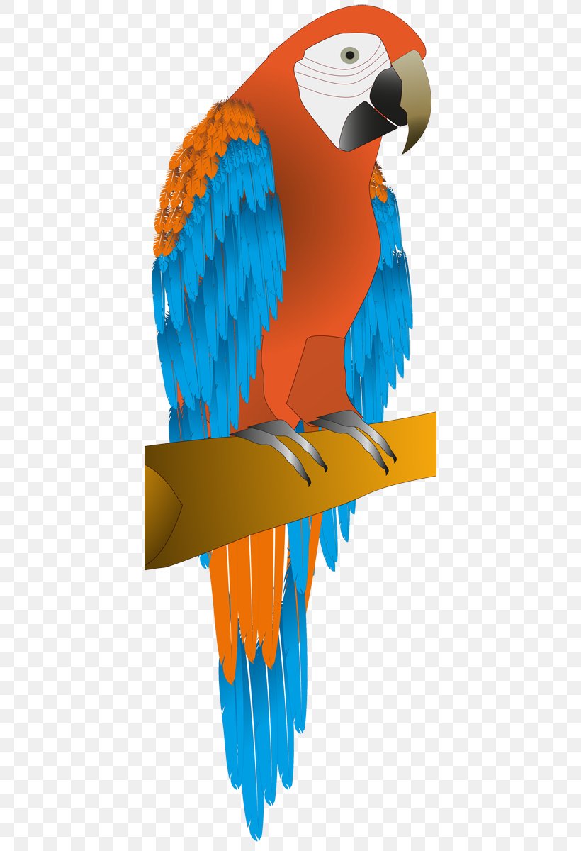 Macaw Parrot Budgerigar Bird Parakeet, PNG, 412x1200px, Macaw, Beak, Bird, Bird Of Prey, Budgerigar Download Free