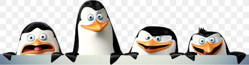 Madagascar Kowalski DreamWorks Animation, PNG, 980x258px, Madagascar, Animation, Bird, Dreamworks Animation, Eric Darnell Download Free