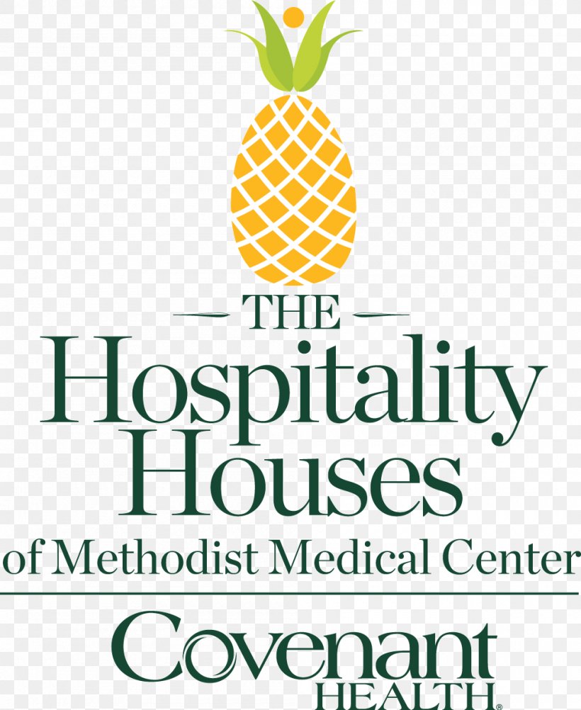 Methodist Medical Center Of Oak Ridge Covenant Health Patient Hospital, PNG, 1000x1223px, Health, Area, Brand, Bromeliaceae, Clinic Download Free