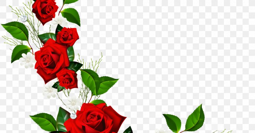 Rose Red Flower Clip Art, PNG, 1137x596px, Rose, Art, Black Rose, Blue, Color Download Free